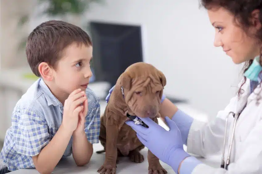 Mascotas: dudas de los padres