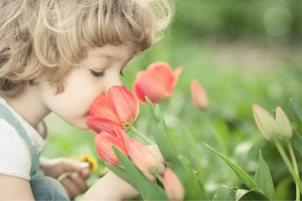 La importancia del olfato en la generación de recuerdos en la infancia