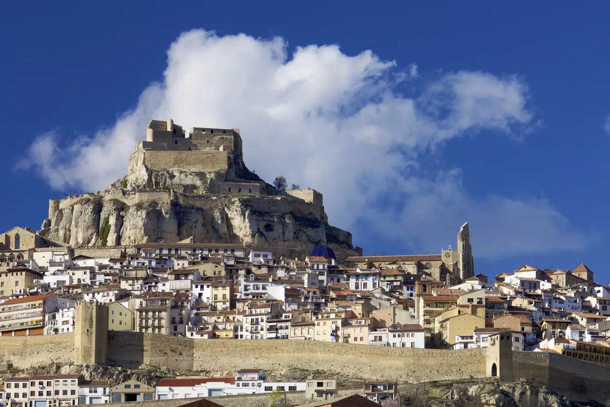 Morella
