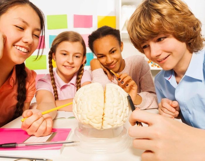 23/02/2016 Cómo sintonizan los dos hemisferios del cerebro de los niños
SOCIEDAD
ISTOCK