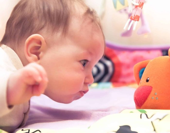 12/04/2017 Bebés: plasticidad cerebral.

no debe entenderse como "acelerar" el ritmo de desarrollo. La estimulación ha de dirigirse  siempre a aprovechar el conjunto de las capacidades del niño.

SOCIEDAD
ISTOCK