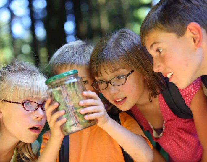 26/07/2017 Antes de ir a un campamento, los padres deben inculcar estas normas.
SOCIEDAD
ISTOCK