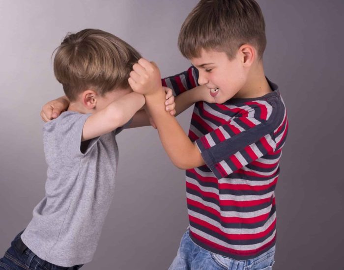 28/09/2017 Si mi hijo está sufriendo acoso, debo animarle a defenderse pegando?
SOCIEDAD
ISTOCK