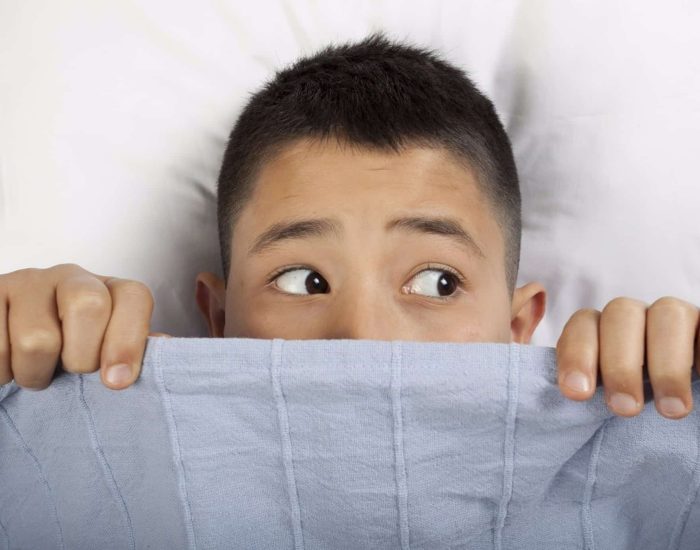 24/11/2017 Los más pequeños pueden experimentar numerosos miedos por la noche al no distinguir la realidad de su fantasía.
SOCIEDAD
ISTOCK