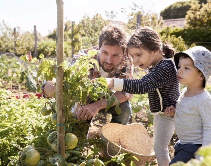 25/06/2018 La granja escuela es una excelente opción para los niños en verano: descubre muchas más aquí y ahora
SOCIEDAD
ISTOCK