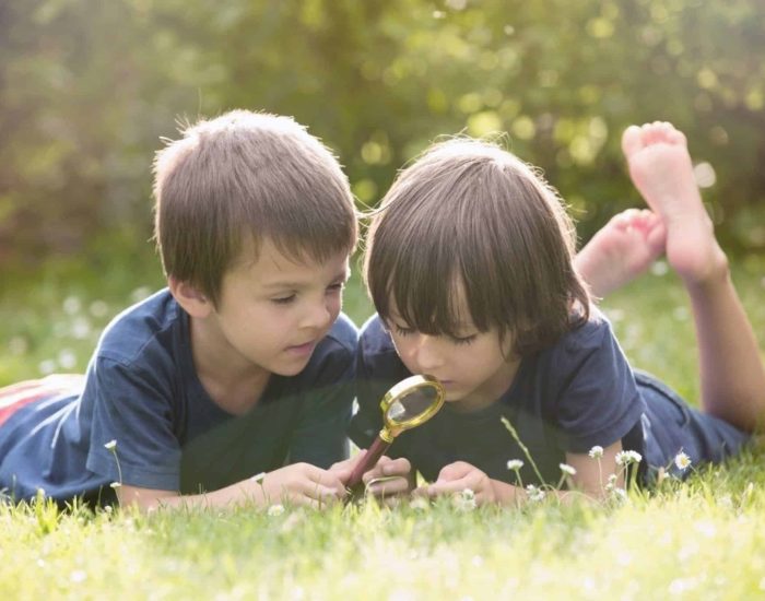 04/06/2019 10 reglas de oro para cuidar el medio ambiente
SOCIEDAD
ISTOCK