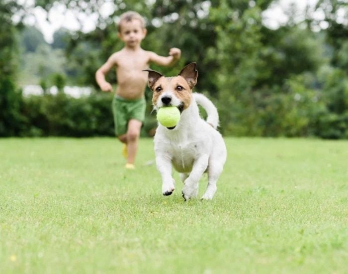 19/07/2019 Juegos para estimular la visión del niño en verano.

verano es un momento en el que los niños descansan, juegan, maduran* Después de un intenso año escolar, el verano es tiempo de juego. Quizá tenemos aprendido que jugar es perder el tiempo, sin embargo jugar es mucho más.  El juego es el vehículo  por el  que podemos desarrollar habilidades necesarias para la vida  como la lógica, el pensamiento crítico, la capacidad de abstracción, la inteligencia, el desarrollo motor, la memoria y entrena directamente habilidades sensoriales visuales, auditivas táctiles y propioceptivas.

SOCIEDAD
ISTOCK