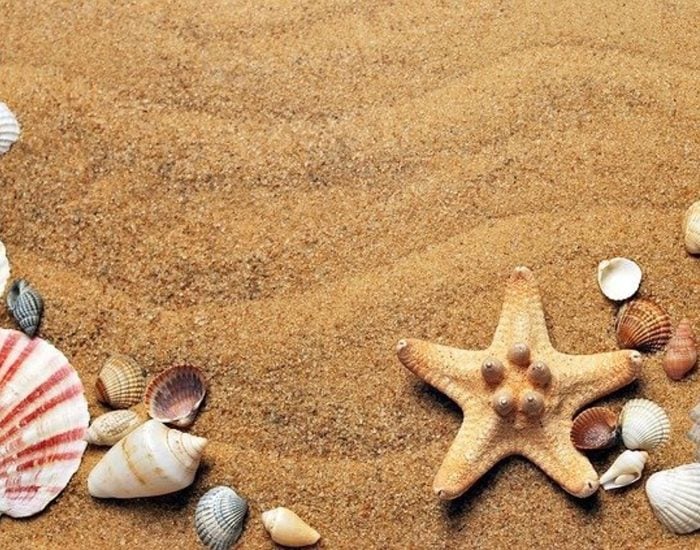 11/07/2020 Disfrutar de un verano seguro frente al Covid es posible gracias a estos consejos.

varios meses de confinamiento, llegó la desescalada y la llamada "nueva normalidad". Una etapa que coincide con la entrada del verano, época de vacaciones por antonomasia. Pero no hay que olvidarse de dónde venimos, de una etapa en la que las familias han hecho frente al coronavirus. Una amenaza que todavía no ha desaparecido y que en cualquier momento puede hacernos regresar a la cuarentena, si no se toman las medidas adecuadas.

SOCIEDAD
ISTOCK