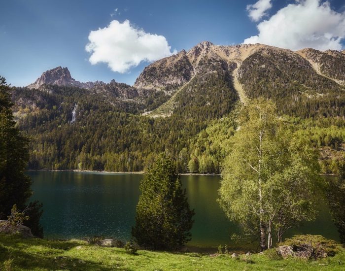 17-05-2021 Parques naturales para visitar en familia.

Atlánticas (Galicia). Este Parque Nacional natural comprende los archipiélagos de Cíes y Ons y, las islas de Cortegada y de Sálvora. En toda su extensión alberga un gran bosque de laurel, más de 200 especies de algas, sobre todo, de algas pardas y distintos tipos de moluscos, corales y anémonas. Además, en él residen gaviotas patiamarillas, cormoranes moñudos, alcas y araos.  De hecho, desde el Faro de las islas Cíes podemos disfrutar de un espectáculo único con miles de gaviotas volando por los acantilados. Si visitamos las Islas Atlánticas es importante saber que no circula ningún vehículo por ellas y que debemos llevarnos la basura que generemos ya que en las islas no hay papeleras. Además, el acceso está controlado y el número máximo de visitantes es de 2.200 personas al día.

SOCIEDAD
ISTOCK