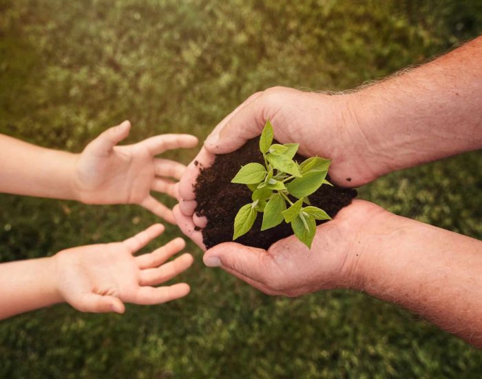 16-09-2021 Planes para disfrutar de la naturaleza y plantar más árboles
SOCIEDAD
ISTOCK