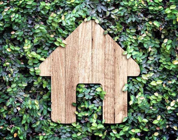 18/06/2022 ¿Quieres Enseñar Conciencia Ecológica A Tus Hijos? Estos Son Los Mejores Consejos Para Ello..

tenemos un planeta, por lo que tenemos que cuidarlo al máximo. Una misión en la que hay que participar tanto como se pueda y en la que hay que hacer participar a los más pequeños. Una de las mejores formas para inculcar este valor medioambiental en los niños es el crear un entorno eco friendly para que vean cómo es necesario velar por el bienestar de todo el mundo.

SOCIEDAD
ISTOCK