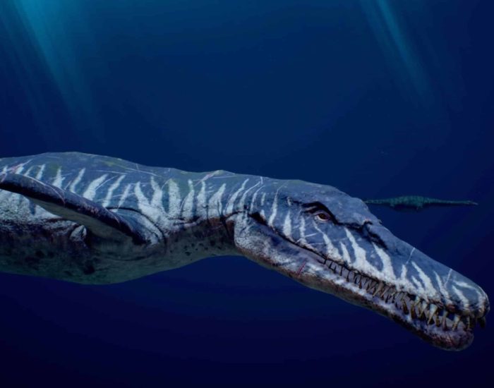 02/06/2023 Sumérgete en el Mar Jurásico de los dinosáurios en Dinópolis
SOCIEDAD
DINÓPOLIS