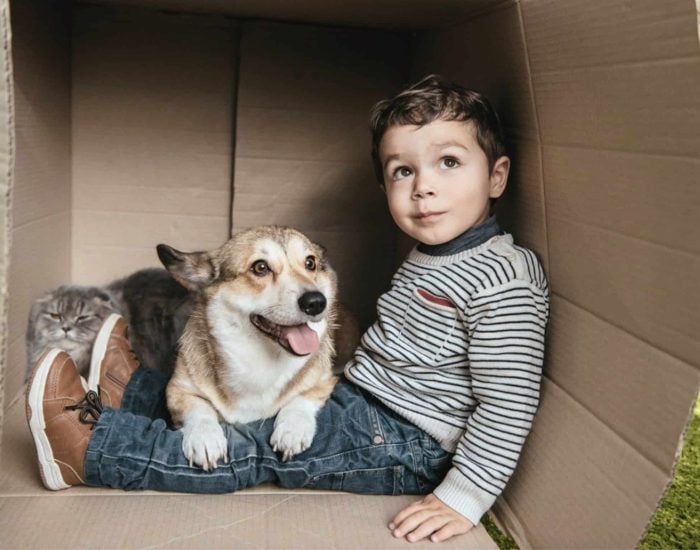 08/08/2023 La pérdida de una mascota es inevitable, y estos son los consejos que puedes seguir para ayudar a superar esta despedida..

hogares deciden adoptar un animal de compañía: perros, gatos, distintas aves... Son muchas las opciones que existen y que representan, además de horas de diversión, diferentes lecciones que abarcan desde la responsabilidad que conlleva el cuidado de una mascota, hasta el aprendizaje que conlleva de la naturaleza. Sin embargo, esta decisión conlleva, tarde o temprano, una dolorosa situación: la muerta del animal.

SOCIEDAD
ISTOCK